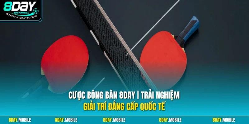 Cược bóng bàn 8Day