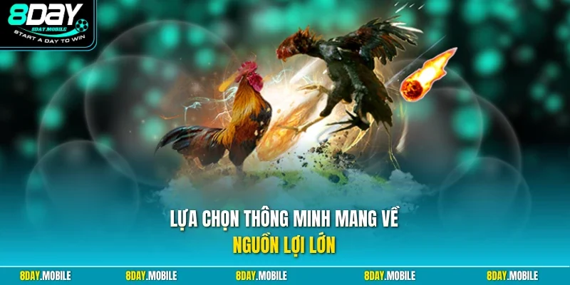 Lựa chọn thông minh mang về nguồn lợi lớn