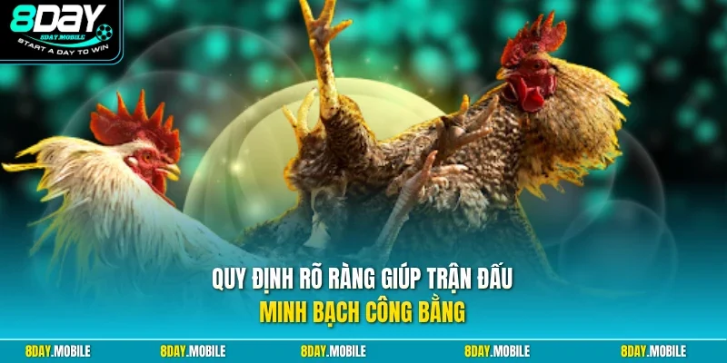 Quy định rõ ràng giúp trận đấu minh bạch công bằng